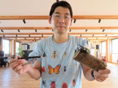 最強のカマキリや希少な昆虫　更別サラパークで２７日「大昆虫展」