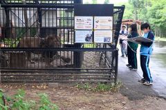 ライオンを観察する参加者ら（２６日午前１０時２０分ごろ）