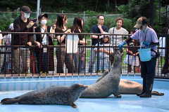 アザラシ家族の夜の食事の様子を観察する来園者たち