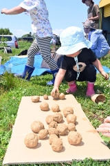 ミナイカシが浦幌町に「もりもりえん」整備　畑やビオトープ、迷路にも 3