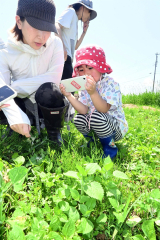 ミナイカシが浦幌町に「もりもりえん」整備　畑やビオトープ、迷路にも 4