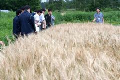 大学内の畑で、大西教授（右）から説明を受ける更別農業高の生徒ら