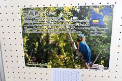 地球の裏側の鳥たちの写真展　浦幌町スポーツセンターで１１日まで 2