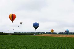 上士幌の空を点々と彩るバルーン（１日午前８時１０分ごろ、助川かおる通信員撮影）