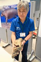 ネオパラドキシアの標本を手に研究成果を説明する澤村特任学芸員