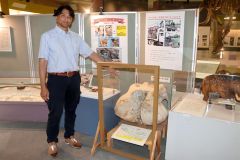 アジアゾウ「ナナ」の頭蓋骨を展示、「見に来て！」　忠類ナウマンゾウ記念館