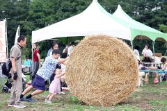 小麦の恵みあふれる会場で麦稈ロール転がしに挑戦する来場者（９日午前１０時２０分ごろ、道の駅おとふけ北側広場、平栗玲香通信員撮影）