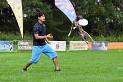 空中でディスクをキャッチする競技犬（須貝拓也撮影）