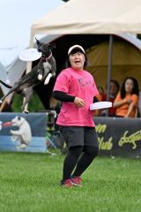 空中でディスクをキャッチする競技犬（須貝拓也撮影）