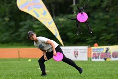 空中でディスクをキャッチする競技犬（須貝拓也撮影）