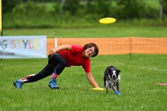 空中にあるディスクを追いかける競技犬（須貝拓也撮影）