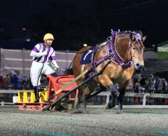 メムロボブサップ５連覇　ばんえいグランプリ