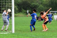 帯北、プログレッソＶ　全道へ　サッカートラック協会杯Ｕ―１１大会