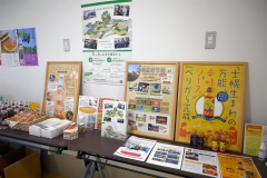 士幌では町内の関係者が２００１年にフィンランドから８０本を輸入し、士幌高校に植栽したことから栽培が始まり、シーベリーの商品開発がされてきた