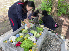 地域の人からもらった花を手水鉢に生ける小椋さん、鈴木さんら（「モモんが」提供）