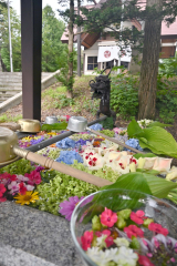 地域の人が育てた花を集めて作られた花手水