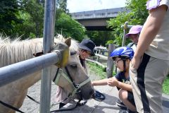 馬と触れ合い笑顔　つつじが丘幼稚園年長児が愛灯学園で～こぼれ 4