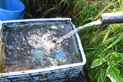 冷たく澄んだ「ソコベの湧き水」