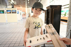 自由研究で作成中の昆虫の標本を見せる斎藤さん