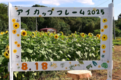 駅舎とヒマワリ、ばっちりフレームイン　足寄町愛冠に特大額縁登場