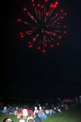 夏の夜空を染めた花火
