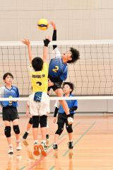 豊頃ランバーズ混合Ｖ、男子は稲田プリンス、女子は下音更ウィングス　バレーミカサカップ全十勝小学生大会 8