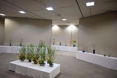 華道池坊帯広中央会　とかちプラザでいけばな展　「季に咲く華・花・はな」 4