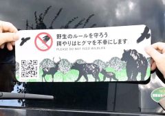 ヒグマに餌をやらないで　知床の元アクティブレンジャー栗原さんがステッカー作成 2
