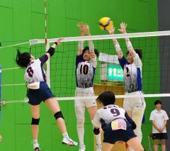 帯南商Ｖ、男子は白樺学園　理事長杯高校バレー