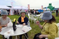 イベントを楽しむ来場者