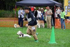 愛犬と一緒に飼い主も走り、野外遊びを満喫した運動会（主催者提供）