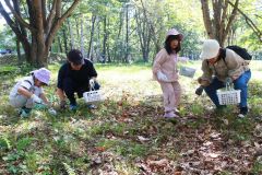 かごを手に持ち、キノコを採取する参加者ら
