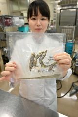「キュウリウオ」煮干しで生かせ　とかち財団と広尾の漁師が共同研究