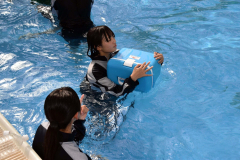 クーラーボックスで浮力を確認する生徒