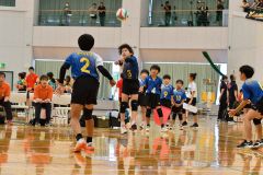 下音更ウィングス女子Ｖ　混合は豊頃ランバーズ　男子は稲田プリンス　イエスタ杯道小学生バレー 5