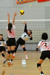 下音更ウィングス女子Ｖ　混合は豊頃ランバーズ　男子は稲田プリンス　イエスタ杯道小学生バレー 8