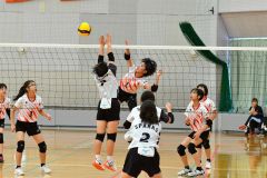 下音更ウィングス女子Ｖ　混合は豊頃ランバーズ　男子は稲田プリンス　イエスタ杯道小学生バレー