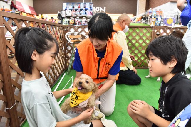 いとおしい犬、なでて癒やされ セラピードッグ「ふれあい会」 | 十勝