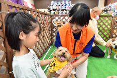 セラピードッグのトイプードルと触れ合う子ども