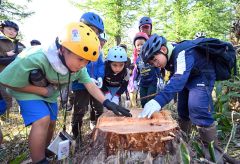 芽室の防風林　人々が集まる場に　１０線防風林で木育イベント開催 2