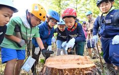 芽室の防風林、人々が集まる場に　町内で木育イベント開催