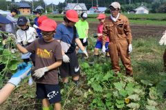 収穫作業に励む忠類小児童ら