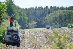 クマ食害のデントコーン畑　ハンター警戒で収穫作業