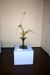十勝華道連盟生け花展あすまで　帯広市民ギャラリー 2