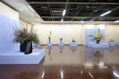 十勝華道連盟生け花展あすまで　帯広市民ギャラリー 4