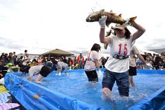 水しぶきを上げて、秋サケのつかみ取りに奮闘する参加者（２０日午前１１時５分ごろ、須貝拓也撮影）