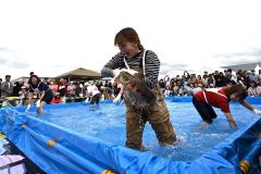 水しぶきを上げて、秋サケのつかみ取りに奮闘する参加者（２０日午前１１時５分ごろ、須貝拓也撮影）