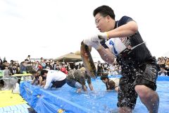 名物「サケのつかみ取り」で味覚の秋を体感　豊頃で産業まつり