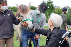 星の庭でセラピーホースと触れ合う来場者