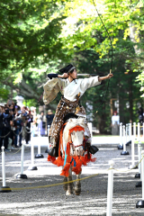 馬上から狙いを定め矢を放つ射手（２３日午前１１時半ごろ、須貝拓也撮影）
